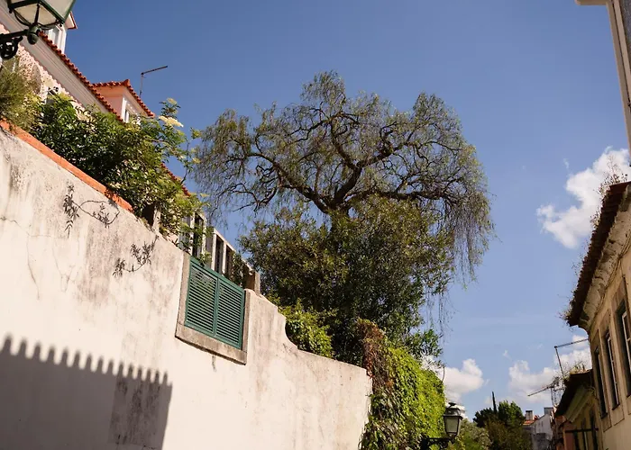 Apartmán Modern 41 Bedroom Haven