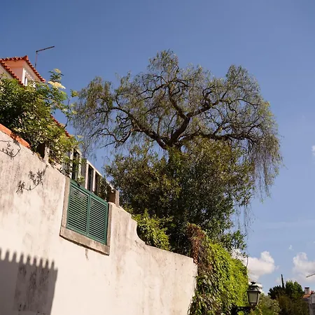 Lejlighed & Spacious 41 Bed